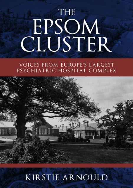 The Epsom Cluster : Voices from Europe's Largest Psychiatric Hospital Complex, EPUB eBook