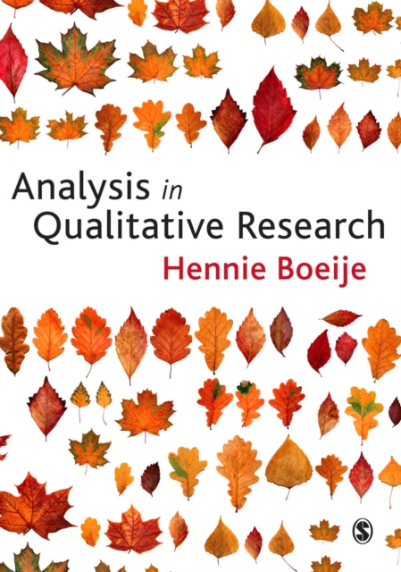 Analysis in Qualitative Research, PDF eBook