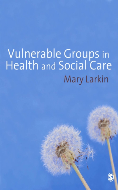 Vulnerable Groups in Health and Social Care, EPUB eBook