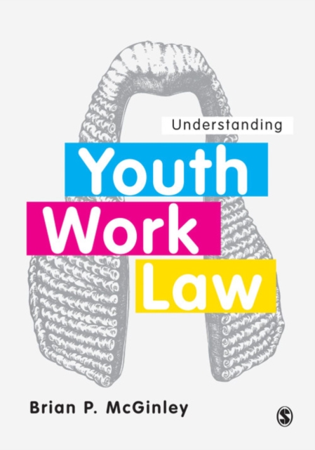 Understanding Youth Work Law, EPUB eBook
