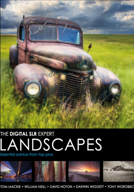 Landscapes : Expert advice from top pros, EPUB eBook