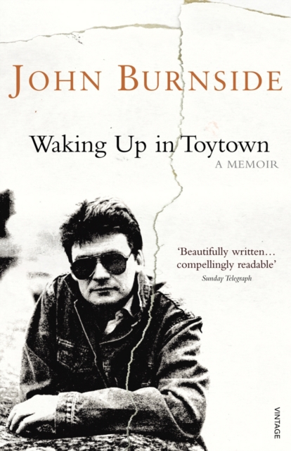 Waking Up in Toytown : A Memoir, EPUB eBook