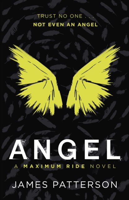 Angel: A Maximum Ride Novel : (Maximum Ride 7), EPUB eBook