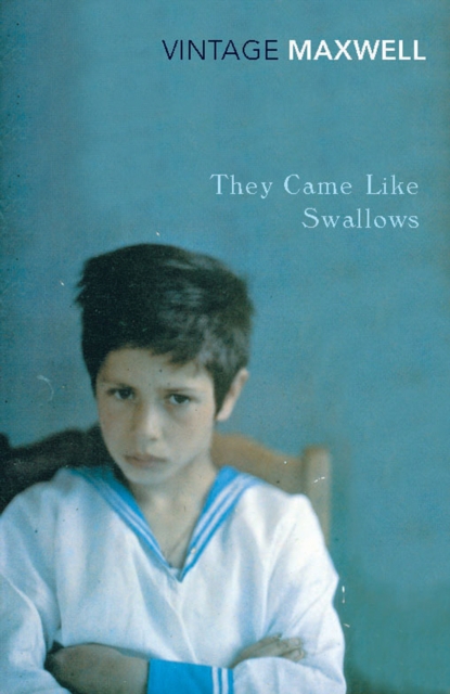 They Came Like Swallows, EPUB eBook