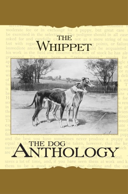 The Whippet - A Dog Anthology (A Vintage Dog Books Breed Classic), EPUB eBook