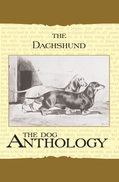 The Daschund - A Dog Anthology (A Vintage Dog Books Breed Classic), EPUB eBook