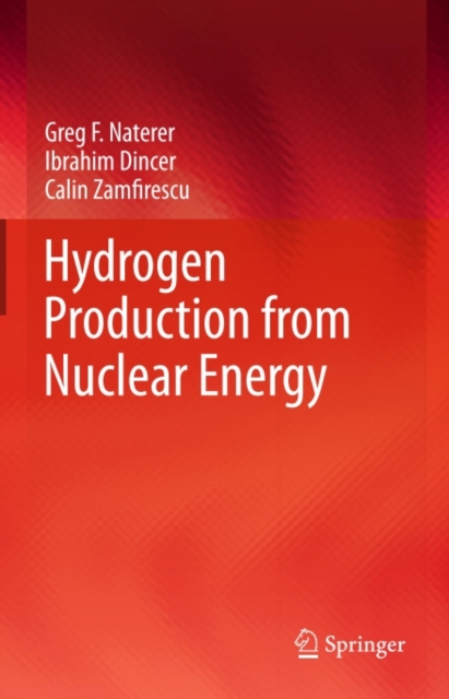Hydrogen Production from Nuclear Energy, PDF eBook