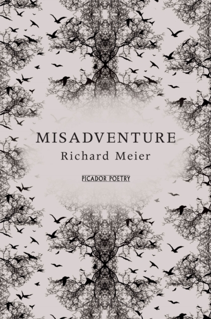 Misadventure, EPUB eBook