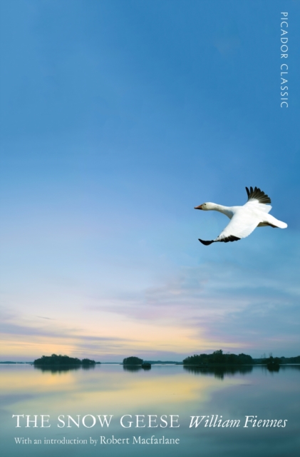 The Snow Geese, EPUB eBook