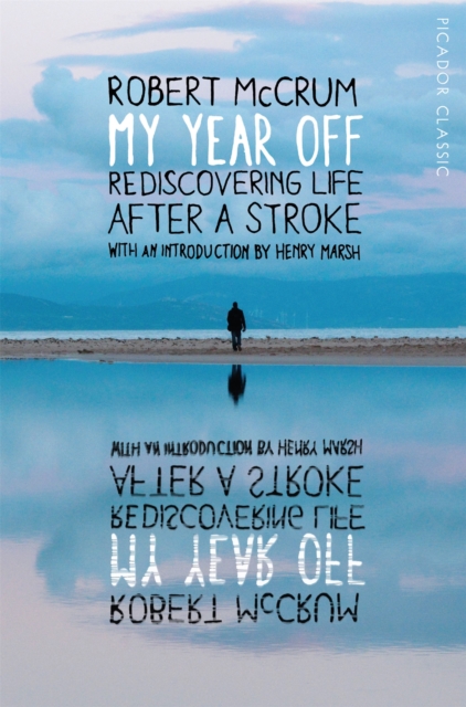 My Year Off : Rediscovering Life After a Stroke, Paperback / softback Book
