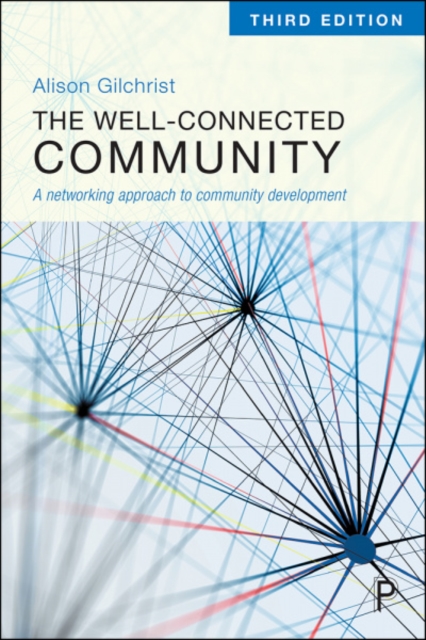 The Well-Connected Community : A Networking Approach to Community Development, Paperback / softback Book