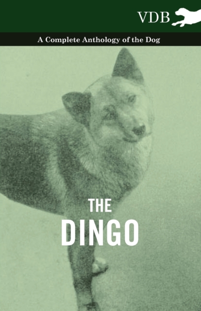 The Dingo - A Complete Anthology of the Dog -, EPUB eBook