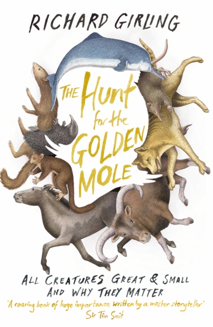 The Hunt for the Golden Mole : All Creatures Great and Small, and Why They Matter, EPUB eBook