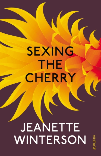 Sexing The Cherry, EPUB eBook