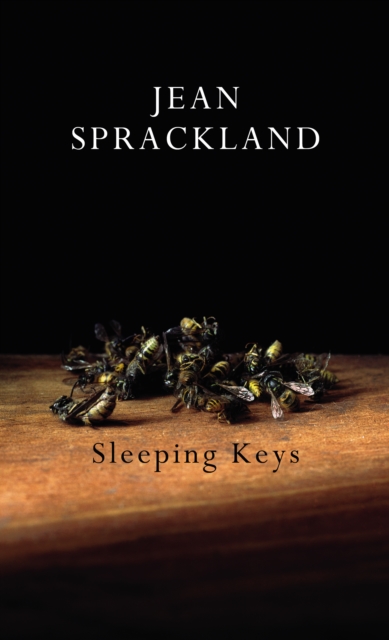 Sleeping Keys, EPUB eBook