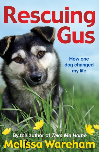 Rescuing Gus, EPUB eBook