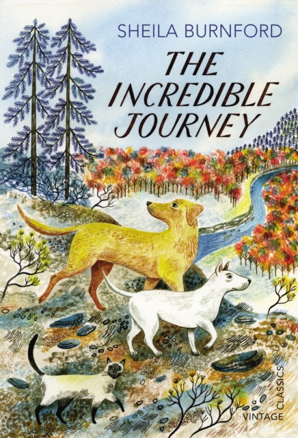 The Incredible Journey, EPUB eBook