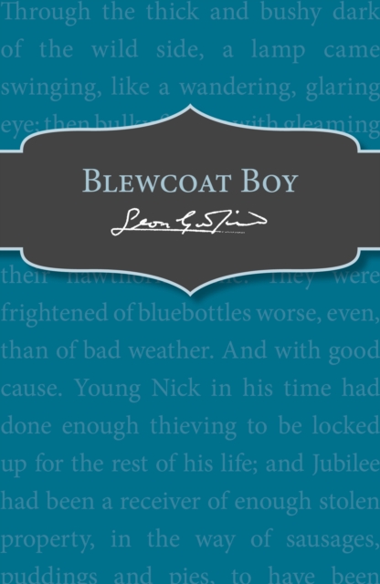Blewcoat Boy, EPUB eBook