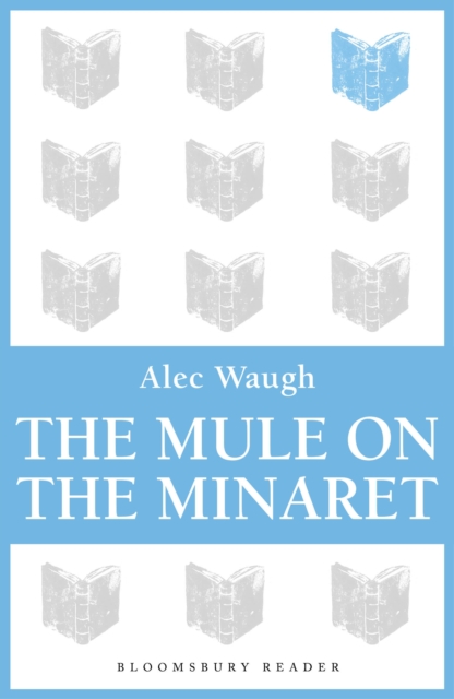 The Mule on the Minaret : A Novel about the Middle East, EPUB eBook