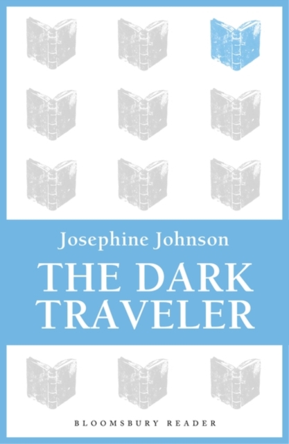 The Dark Traveler, EPUB eBook