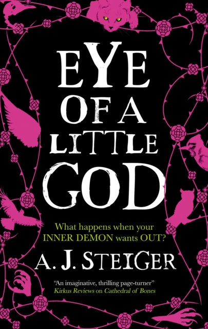 Eye of a Little God, Hardback Book