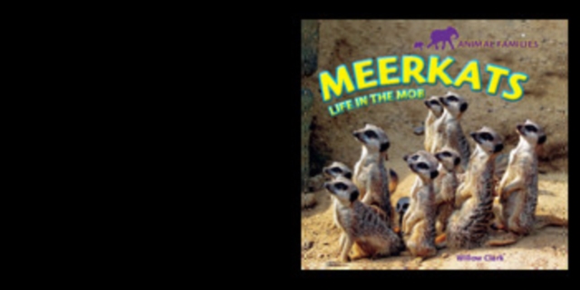 Meerkats : Life in the Mob, PDF eBook