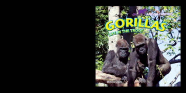Gorillas : Life in the Troop, PDF eBook