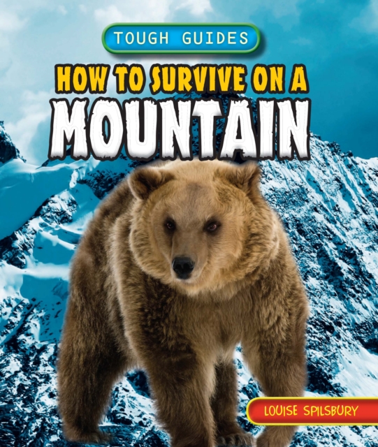How to Survive on a Mountain, PDF eBook