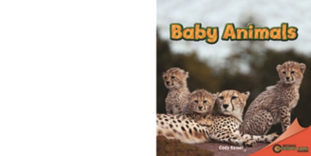 Baby Animals, PDF eBook