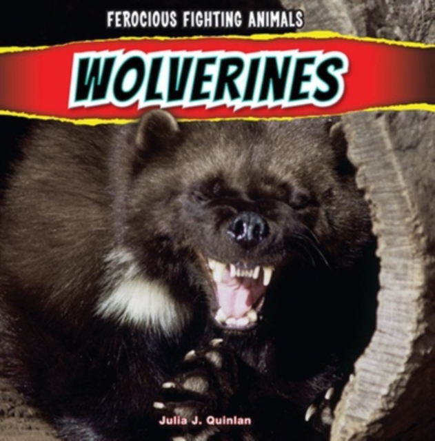 Wolverines, PDF eBook