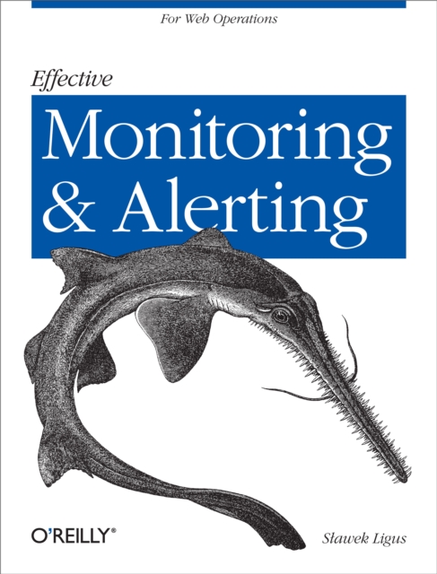 Effective Monitoring and Alerting : For Web Operations, EPUB eBook