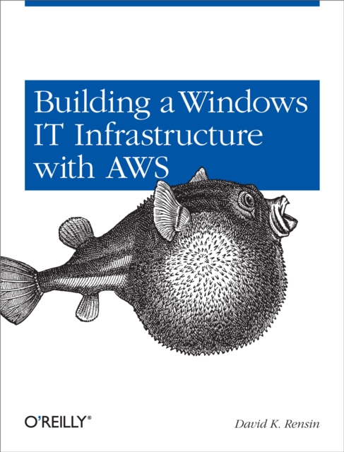 Building a Windows IT Infrastructure in the Cloud : Distributed Hosted Environments with AWS, PDF eBook