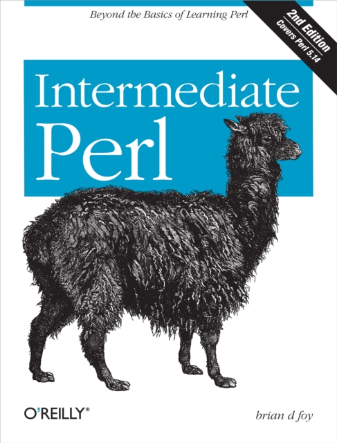Intermediate Perl : Beyond The Basics of Learning Perl, EPUB eBook