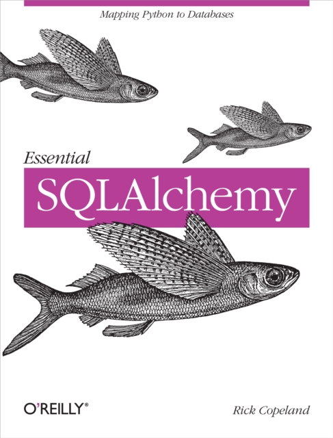 Essential SQLAlchemy, EPUB eBook
