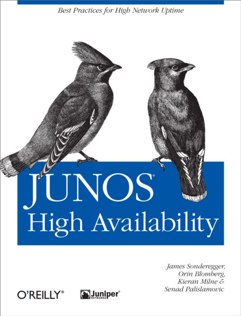 Junos High Availability : Best Practices for High Network Uptime, PDF eBook