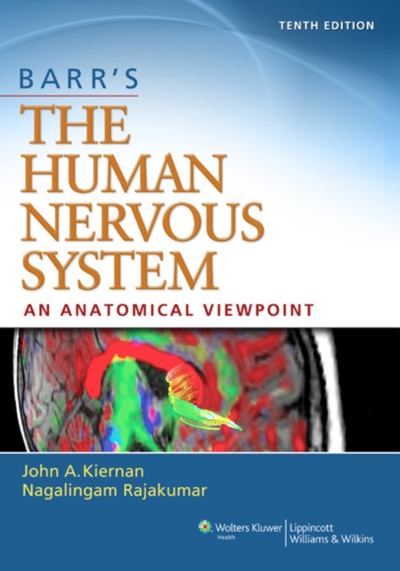 Barr's The Human Nervous System: An Anatomical Viewpoint, Paperback / softback Book