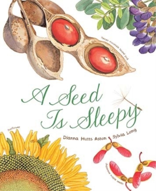 A Seed Is Sleepy, Paperback / softback Book