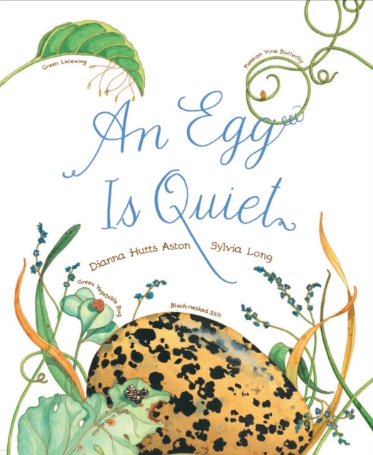 An Egg Is Quiet, Paperback / softback Book