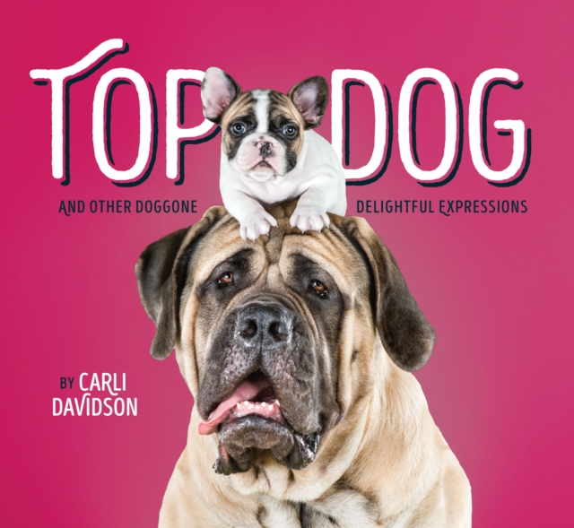 Top Dog : And Other Doggone Delightful Expressions, EPUB eBook