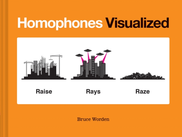 Homophones Visualized, Hardback Book