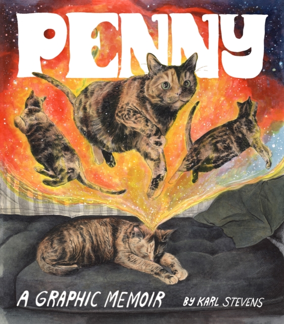 Penny : A Graphic Memoir, Paperback / softback Book
