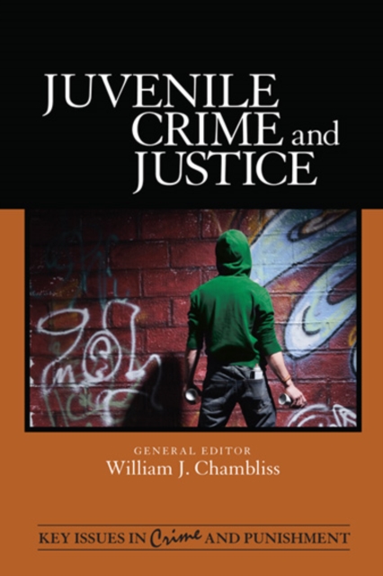 Juvenile Crime and Justice, PDF eBook