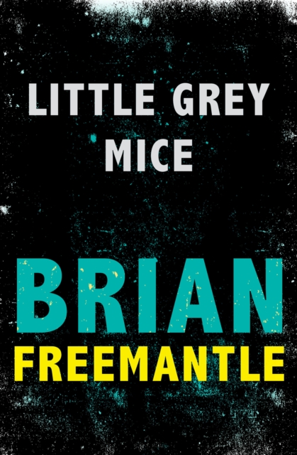 Little Grey Mice, EPUB eBook