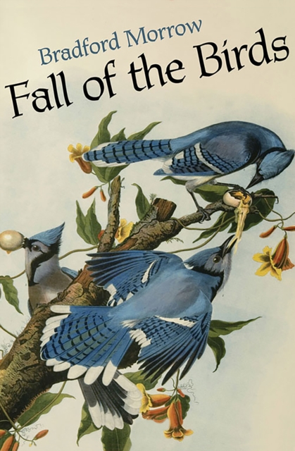 Fall of the Birds, EPUB eBook