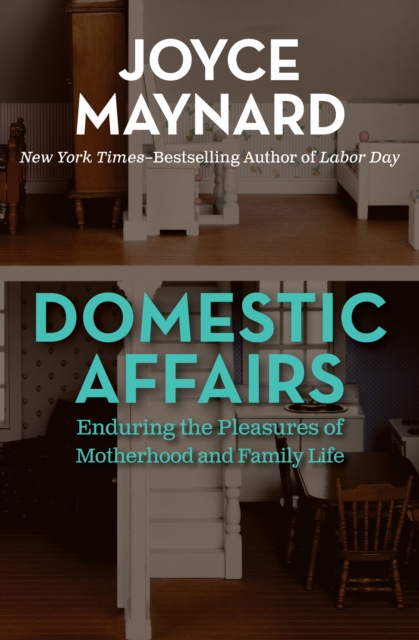 Domestic Affairs : Enduring the Pleasures of Motherhood and Family Life, EPUB eBook