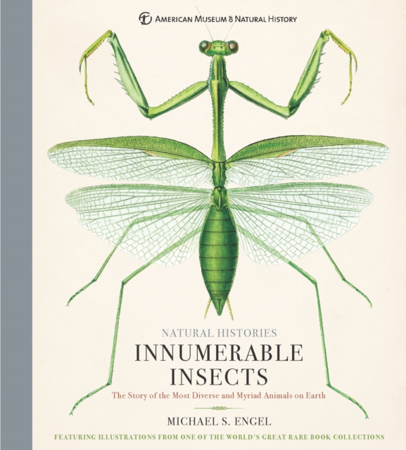 Innumerable Insects : The Story of the Most Diverse and Myriad Animals on Earth, Hardback Book