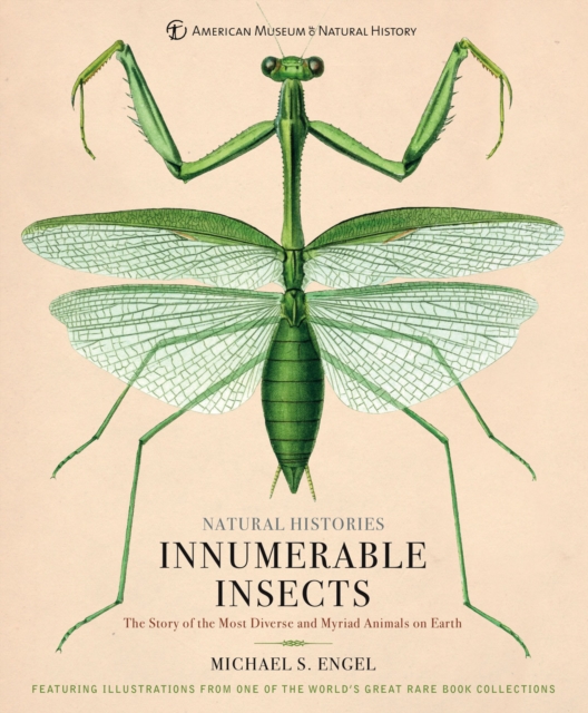 Innumerable Insects : The Story of the Most Diverse and Myriad Animals on Earth, EPUB eBook