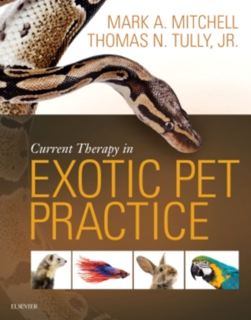 Current Therapy in Exotic Pet Practice, Hardback Book