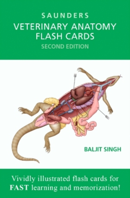 Veterinary Anatomy Flash Cards, Cards Book