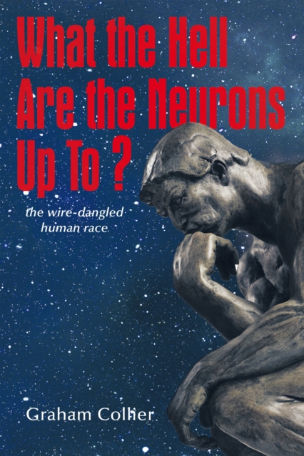 What the Hell Are the Neurons up To? : The Wire-Dangled Human Race, EPUB eBook